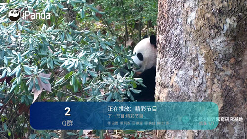 酷兴TV4