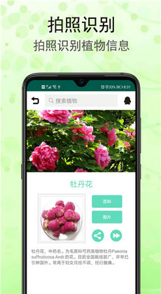 识花草君1