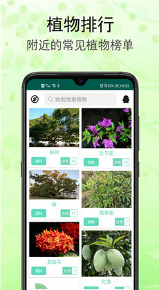 识花草君2