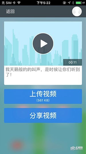 尖叫鸟最新版0