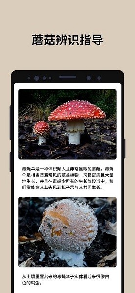 蘑菇识别扫一扫app安卓客户端2