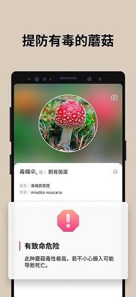 蘑菇识别扫一扫软件(Picture Mushroom)安卓中文版1