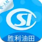 胜利社保在线查询app