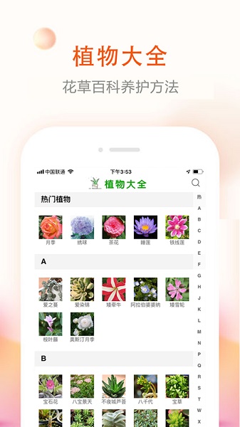 花草君1