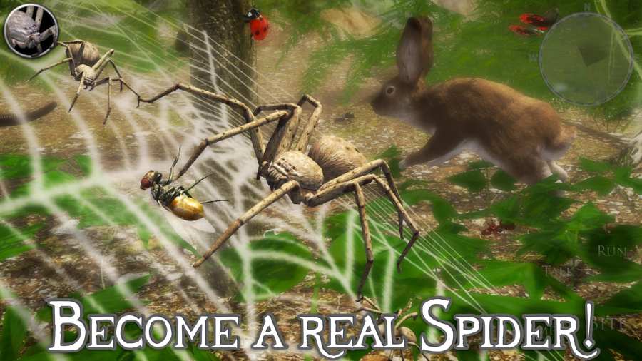 消灭蜘蛛模拟器游戏1