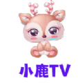 小鹿tv