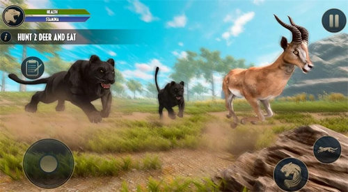 荒野豹动物生活模拟2