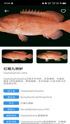 鱼塘笔记1