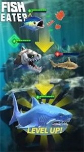 鲨鲨进化论1