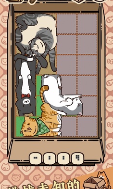 盒子猫游戏0
