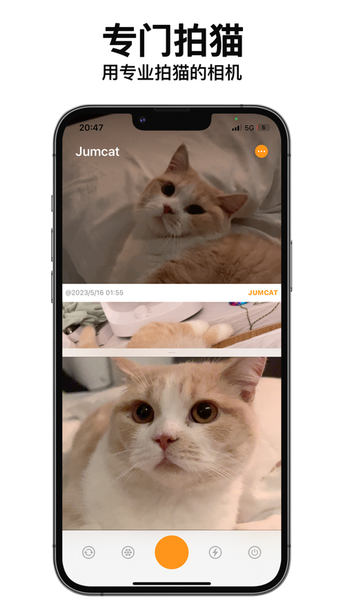 动猫相机app2