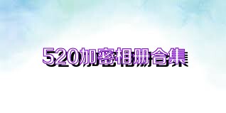 520加密相册合集