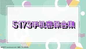5173手机密保合集