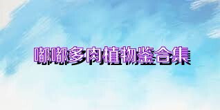 嘟嘟多肉植物鉴合集