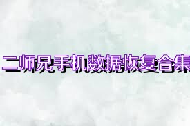 二师兄手机数据恢复合集