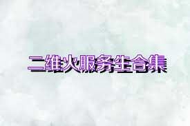 二维火服务生合集