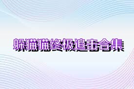 躲猫猫终极追击合集