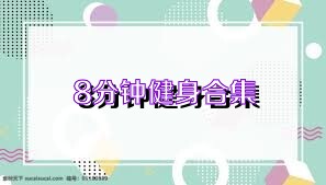 8分钟健身合集