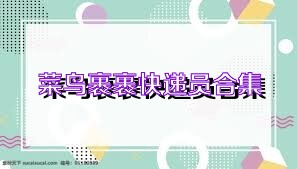 菜鸟裹裹快递员合集