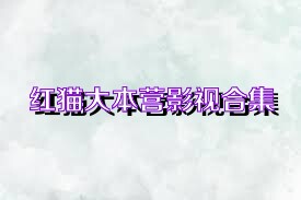 红猫大本营影视合集