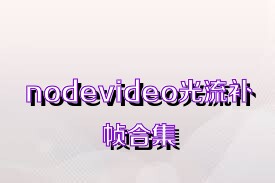 nodevideo光流补帧合集