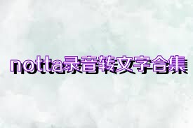 notta录音转文字合集