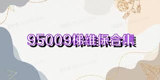 95009梯维保合集
