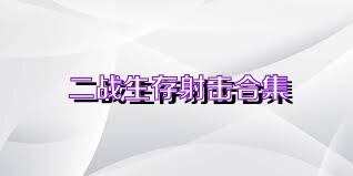 二战生存射击合集
