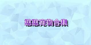 憨憨宠物合集