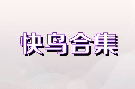 快鸟合集