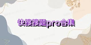 快搜搜题pro合集