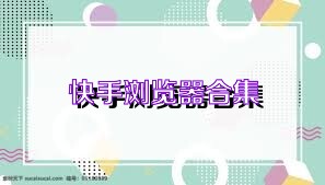 快手浏览器合集