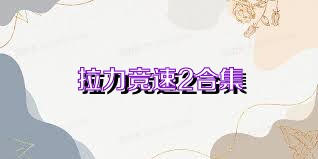 拉力竞速2合集