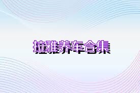 拉雅养车合集