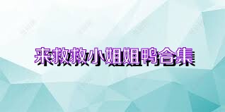 来救救小姐姐鸭合集