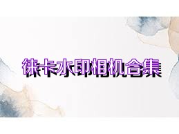 徕卡水印相机合集