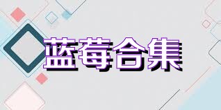 蓝莓合集
