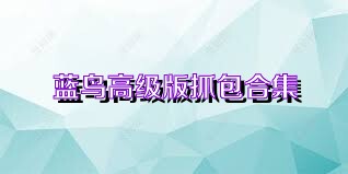 蓝鸟高级版抓包合集