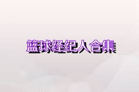 篮球经纪人合集