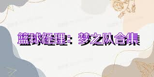 篮球经理：梦之队合集