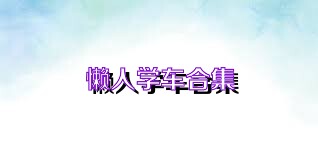 懒人学车合集
