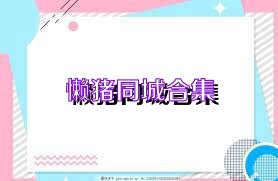 懒猪同城合集