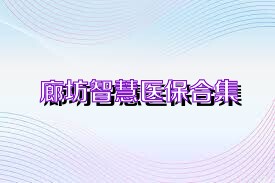 廊坊智慧医保合集