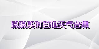 浪浪实时当地天气合集