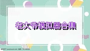老大爷模拟器合集