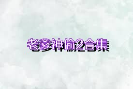 老爹神偷2合集