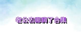 老公去哪嗨了合集