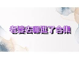 老婆去哪逛了合集
