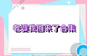 老婆我回来了合集