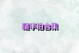 随手拍合集